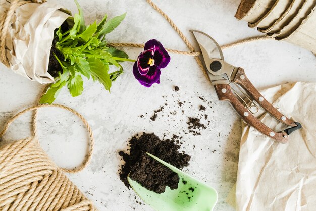 Sekrety zdrowego wzrostu roślin w różnych typach gleby