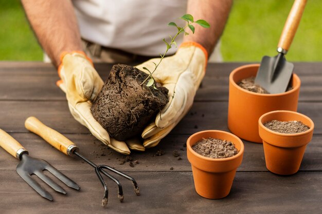 Naturalne sposoby na poprawę jakości gleby w ogrodzie