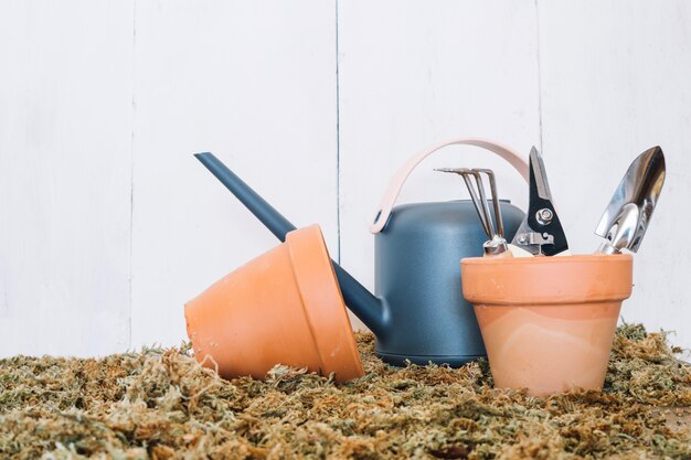 Jak wybrać idealne narzędzia do pielęgnacji ogrodu?