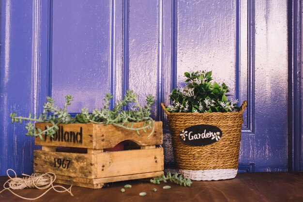 Odkryj urok rustykalnych dekoracji w swoim zielonym zakątku